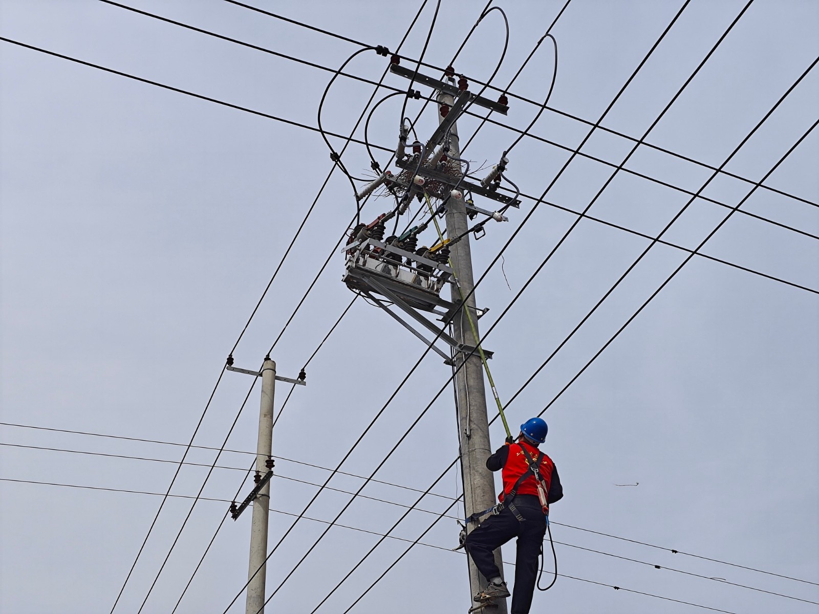 1711417392314076734.jpg 清除鳥(niǎo)窩專項(xiàng)行動(dòng)1.jpg